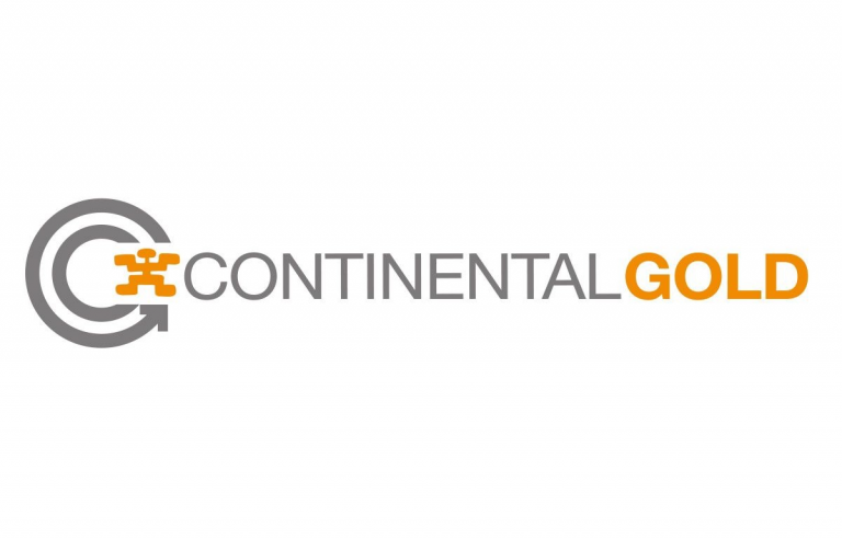 CONTINENTAL GOLD LIMITED SUCURSAL COLOMBIA
